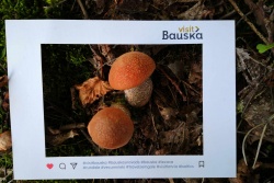 Noslēdzošais VisitBauska Fotomirklis Bauskas TIC